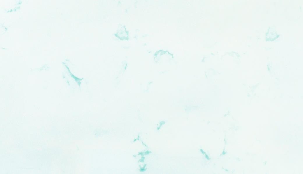 KJL-8779؝(rn)